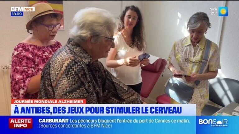 Journée de lutte contre Alzheimer : ces patients stimulent leur cerveau en jouant