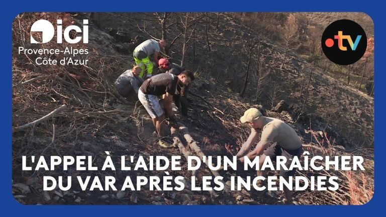 L&rsquo;appel à l&rsquo;aide d&rsquo;un maraîcher du Var après les incendies de l&rsquo;été 2026