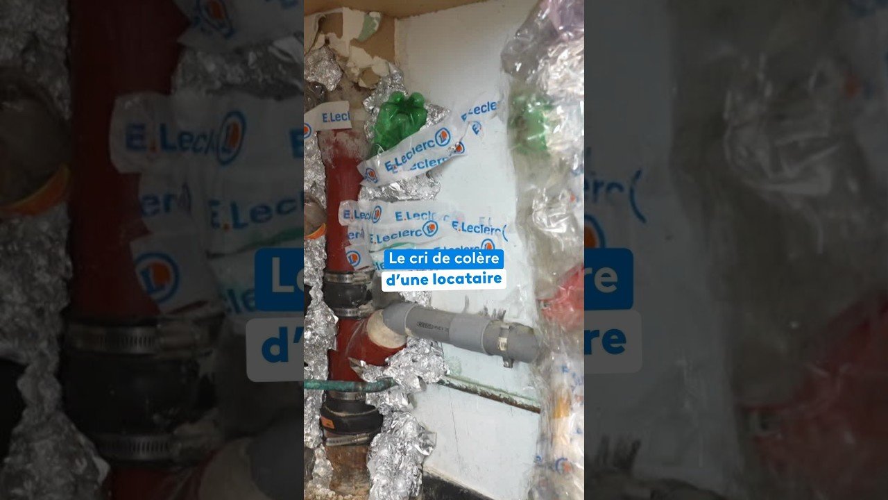 Le cri de colère d&rsquo;une locataire