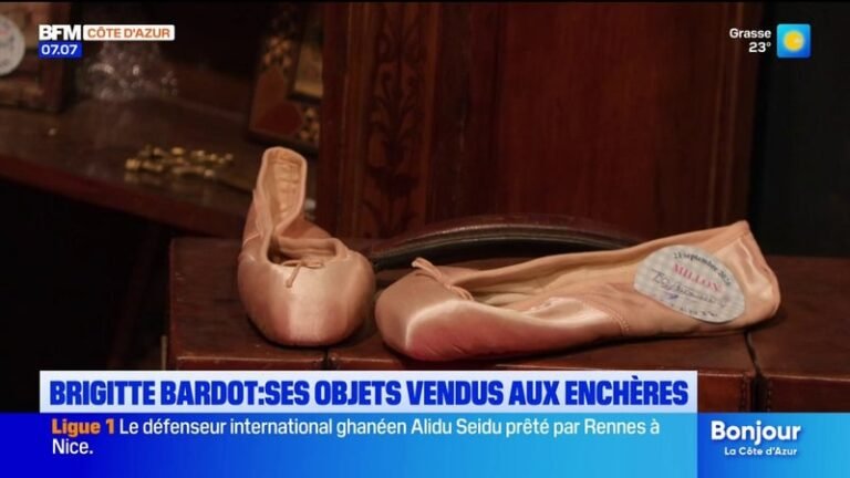 Le dernier mari de Brigitte Bardot s&rsquo;oppose à la vente aux enchères d&rsquo;objets intimes de l&rsquo;actrice