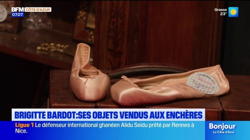 Le dernier mari de Brigitte Bardot s&rsquo;oppose à la vente aux enchères d&rsquo;objets intimes de l&rsquo;actrice