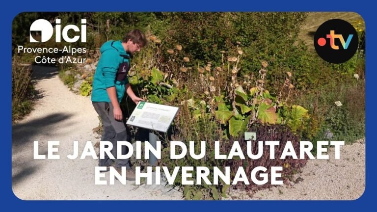 Le jardin du Lautaret se prépare à l&rsquo;hiver qui arrive