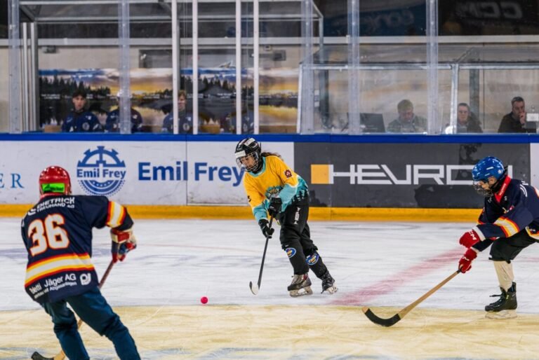 Les cannes et les buts étaient différents ce week-end dans la patinoire de Porrentruy