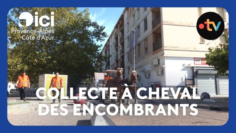 Les chevaux remplacent les camions de poubelles pour ramasser les encombrants