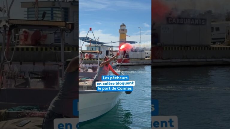 Les pêcheurs en colère bloquent le port de Cannes