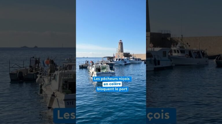 Les pêcheurs niçois en colère bloquent le port