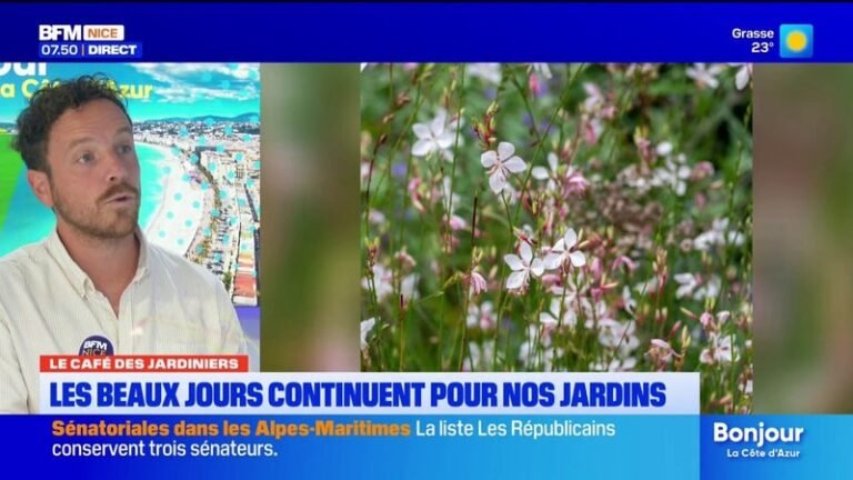 L’été joue les prolongations : quels impacts sur nos jardins ?