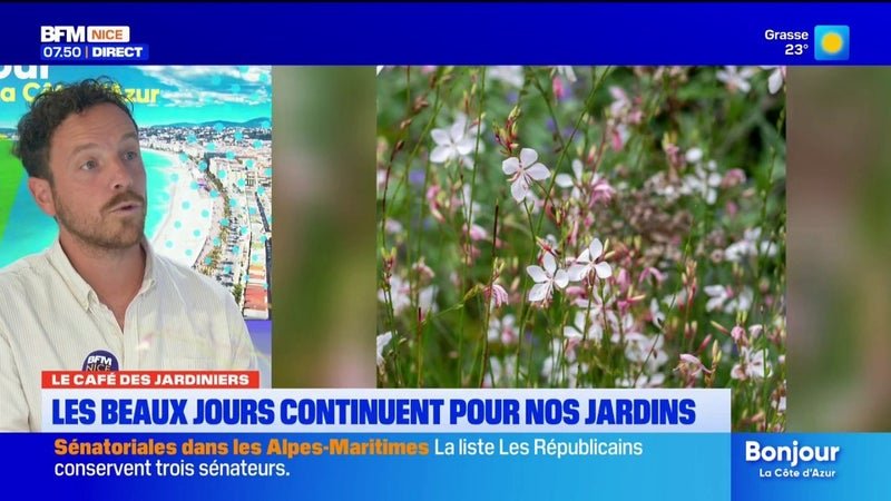 L’été joue les prolongations : quels impacts sur nos jardins ?