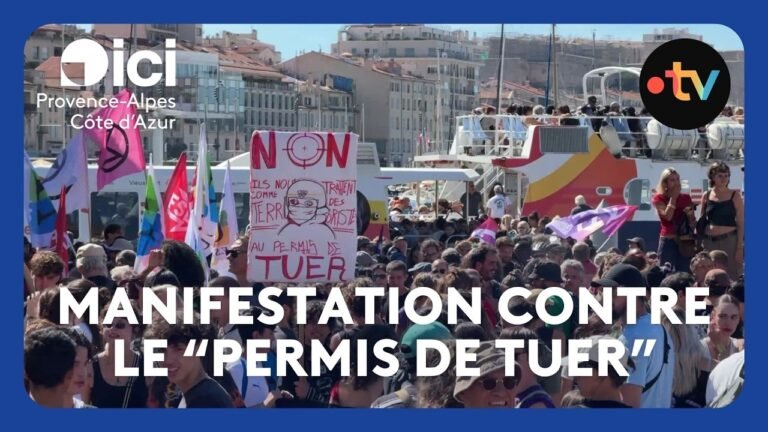 Manifestation contre la proposition de loi sur la légitime défense des forces de l&rsquo;ordre à Marseille