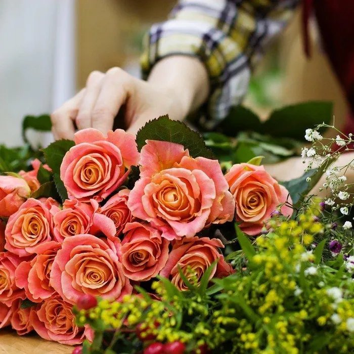 Marseille : une fleuriste braquée au couteau, son agresseur tente de l’enfermer dans la chambre froide (Ouest-France)