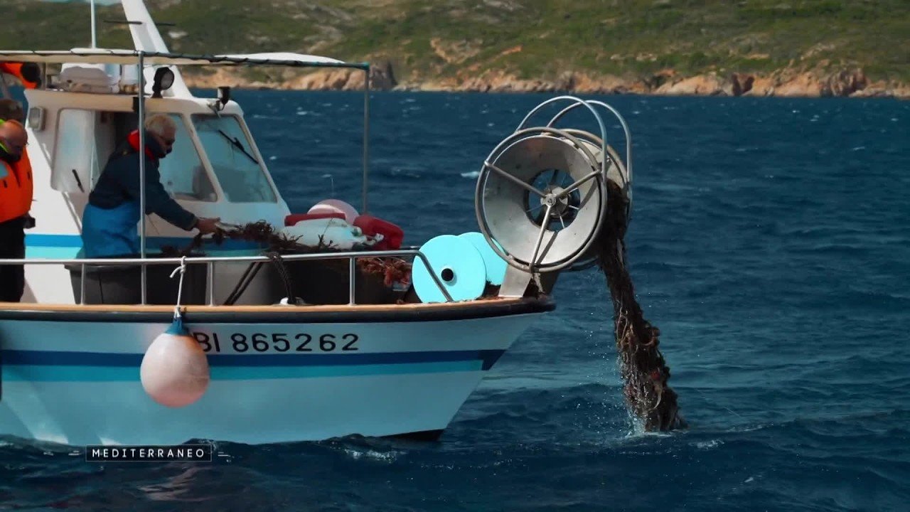 MEDITERRANEO – En Corse des spécialistes français et italiens luttent contre les filets fantômes