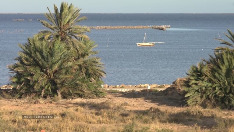 MEDITERRANEO – la gestion durable du tourisme avec l’exemple de l’archipel des Kerkennah en Tunisie