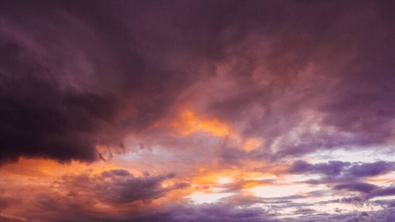 Météo. Les prévisions météorologiques du dimanche 13 septembre 2026 à Cannes et ses environs