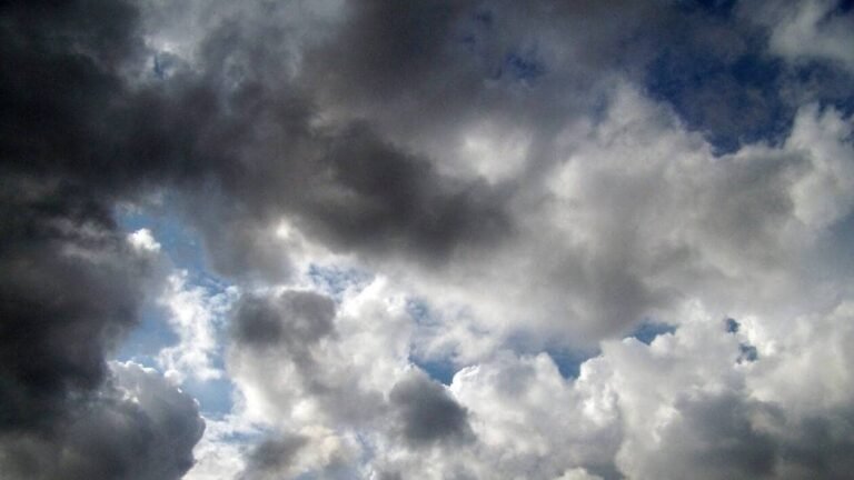 Météo. Quel temps est-il prévu à Cannes et ses environs le vendredi 25 septembre 2026 ?