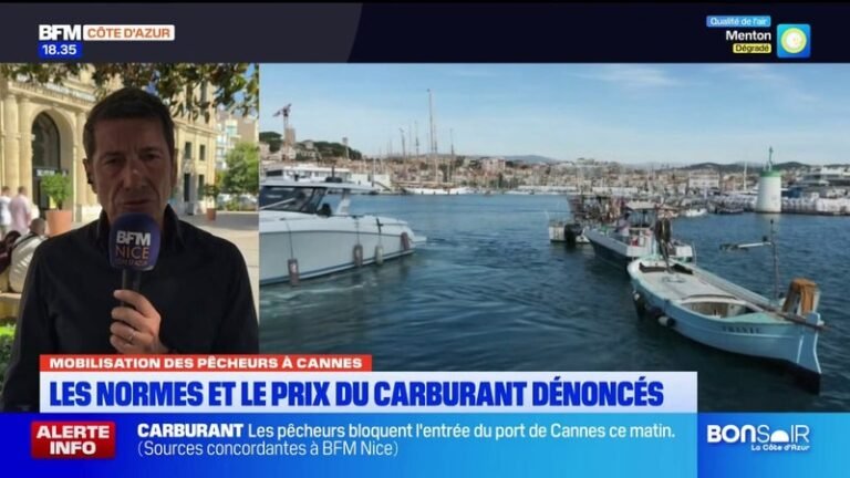 Mobilisation à Cannes : le maire, D. Lisnard, dénonce les contraintes imputées aux « petits » pêcheurs