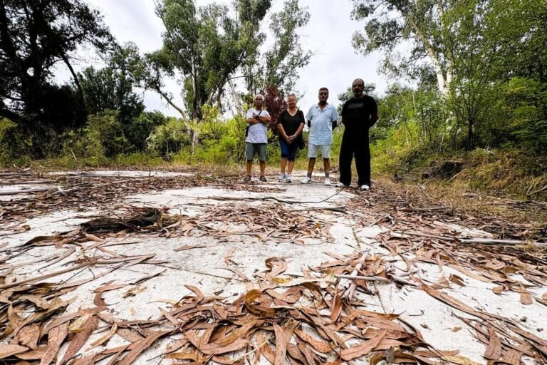« Nous vivions en retrait complet, isolés au milieu des bois sans personne sur qui compter » : ces enfants de harkis racontent leur difficile jeunesse dans l’ancien « camp » de Valbonne