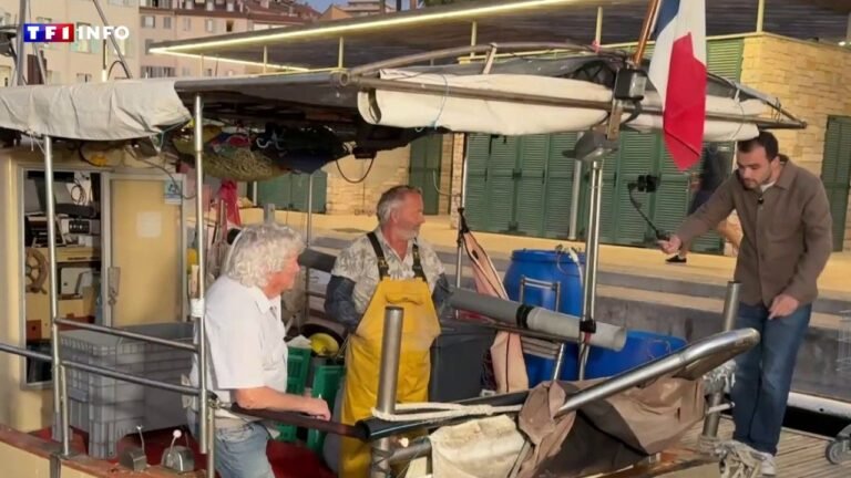 « On prend sur nous, on se débrouille » : à Cannes, les pêcheurs ne décolèrent pas face à la hausse des prix des carburants