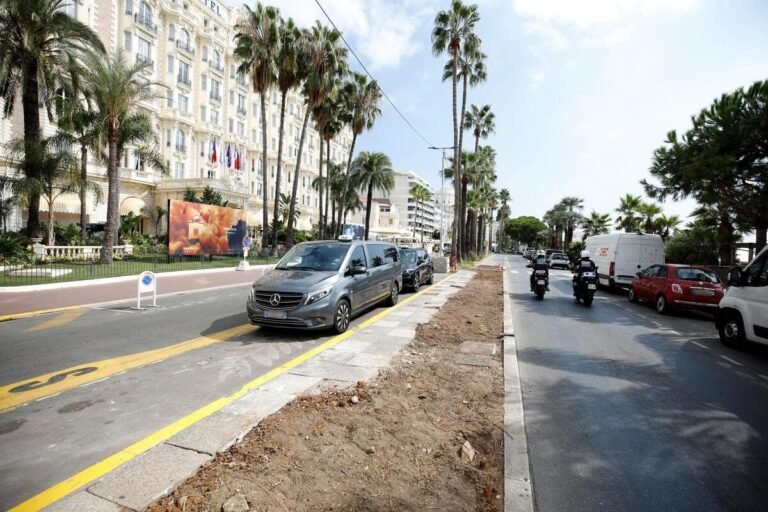 Palmiers déterrés et évacués… On vous explique ce qu’il se passe sur la Croisette à Cannes depuis plusieurs nuits