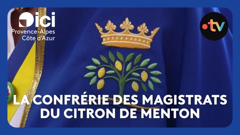Pour promouvoir et protéger le citron de Menton, une confrérie des magistrats est lancée