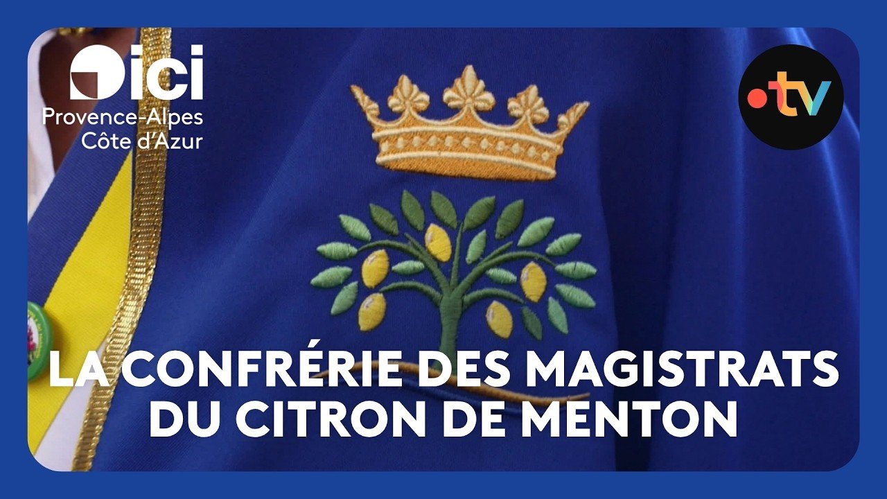 Pour promouvoir et protéger le citron de Menton, une confrérie des magistrats est lancée