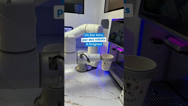 Premier bar tenu par des robots à Avignon