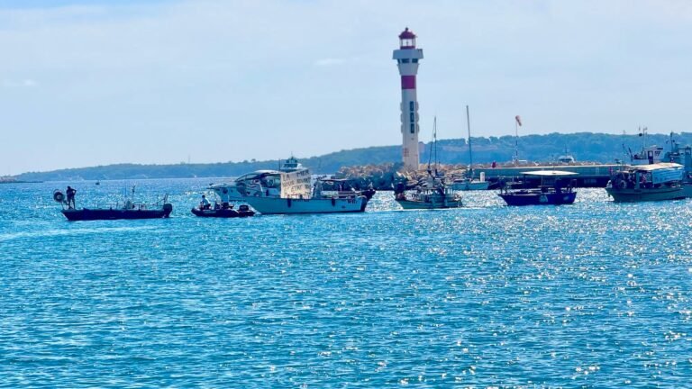 Prix des carburants, excès de normes… Pourquoi les pêcheurs professionnels de Cannes ont bloqué le Vieux-Port ce lundi