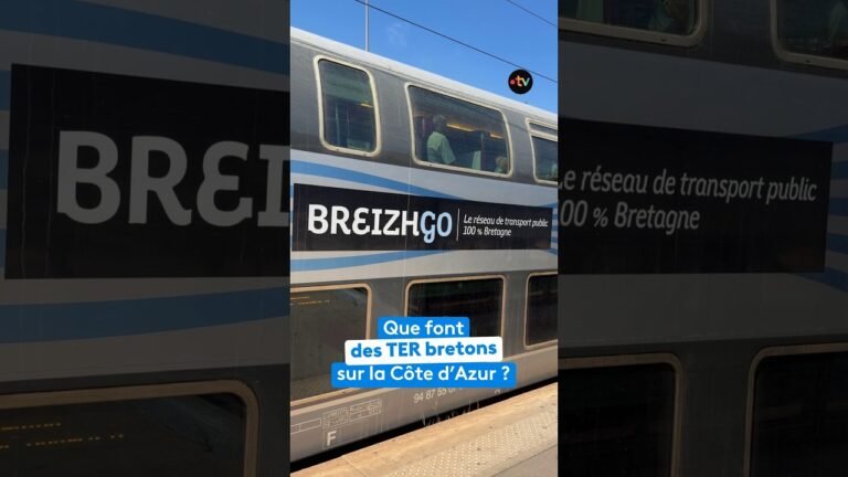 Que font des TER bretons sur la Côte d’Azur ?
