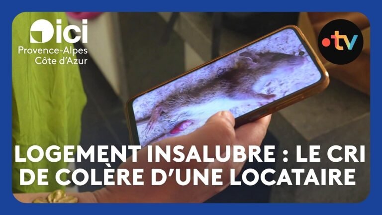 Rats, dégâts des eaux, travaux inachevés, elle paye 1 100 euros par mois pour un logement insalubre