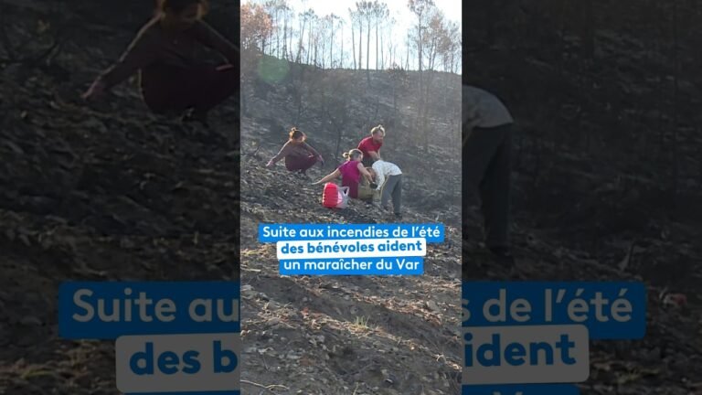 Suite aux incendies de l&rsquo;été, des bénévoles aident un maraîcher du Var à aménager son terrain