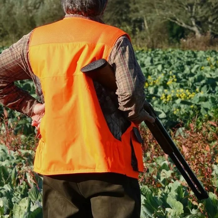 Un chasseur de 90 ans meurt après une chute de cinq mètres dans les Alpes-de-Haute-Provence  (Ouest-France)