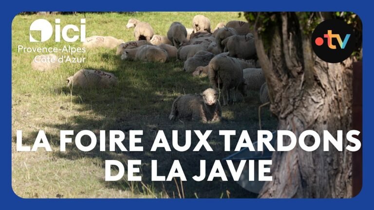 Une foire aux tardons sans tardon pour cette 44ᵉ édition