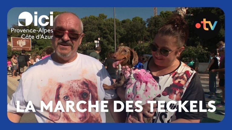 Une marche des teckels organisée à Marseille, c&rsquo;était le rendez-vous « des Petites sardines »