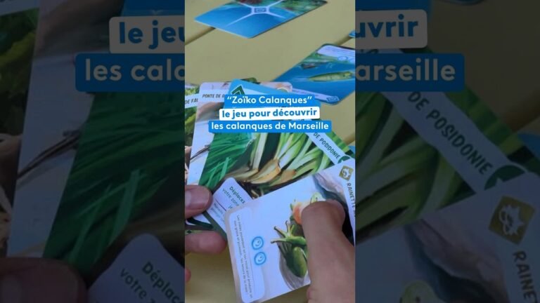 “Zoïko Calanques” le jeu pour découvrir les calanques de Marseille