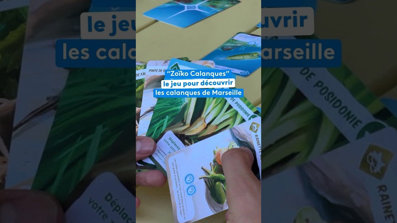 “Zoïko Calanques” le jeu pour découvrir les calanques de Marseille