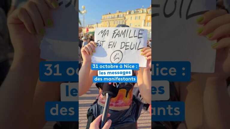 31 octobre à Nice : les messages des manifestants