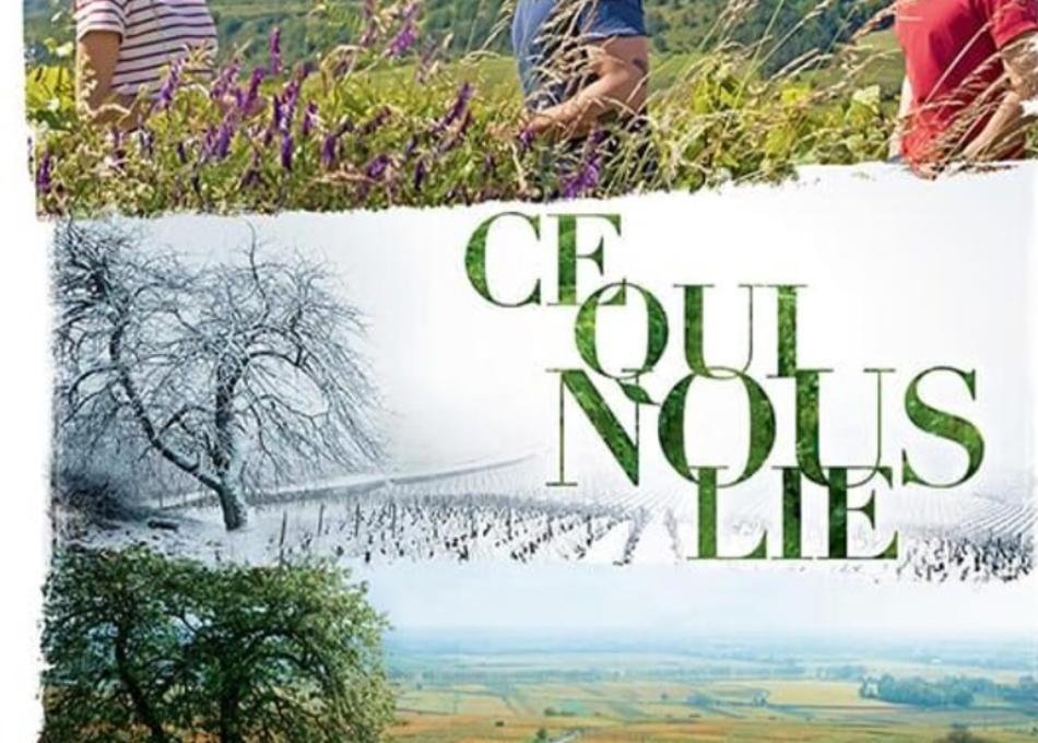 CANNES : Cinéma-danse – Une sélection internationale explore les fractures du monde contemporain