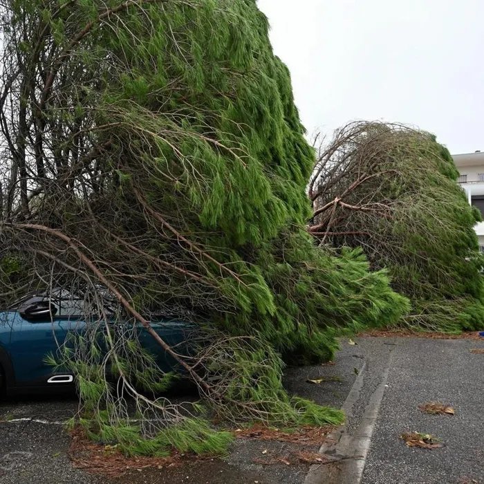 Chutes d’arbres, inondations… Des dégâts dans le sud-est de la France après le passage d’un épisode méditerranéen  (Ouest-France)