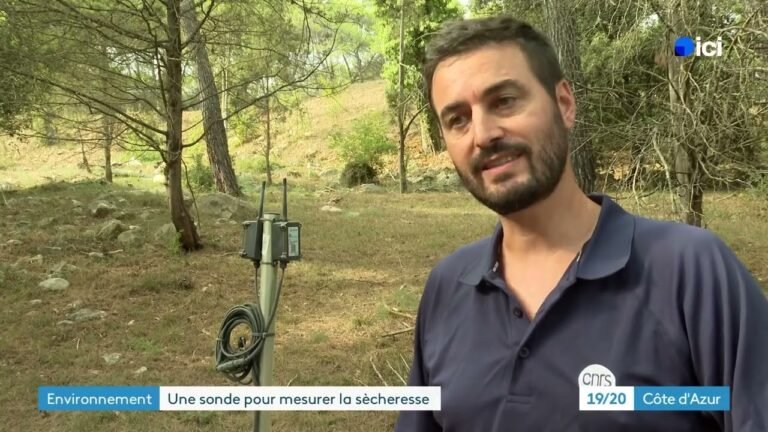 Comment mesurer la sécheresse dans le sol ? Des chercheurs ont inventé une sonde pour y parvenir