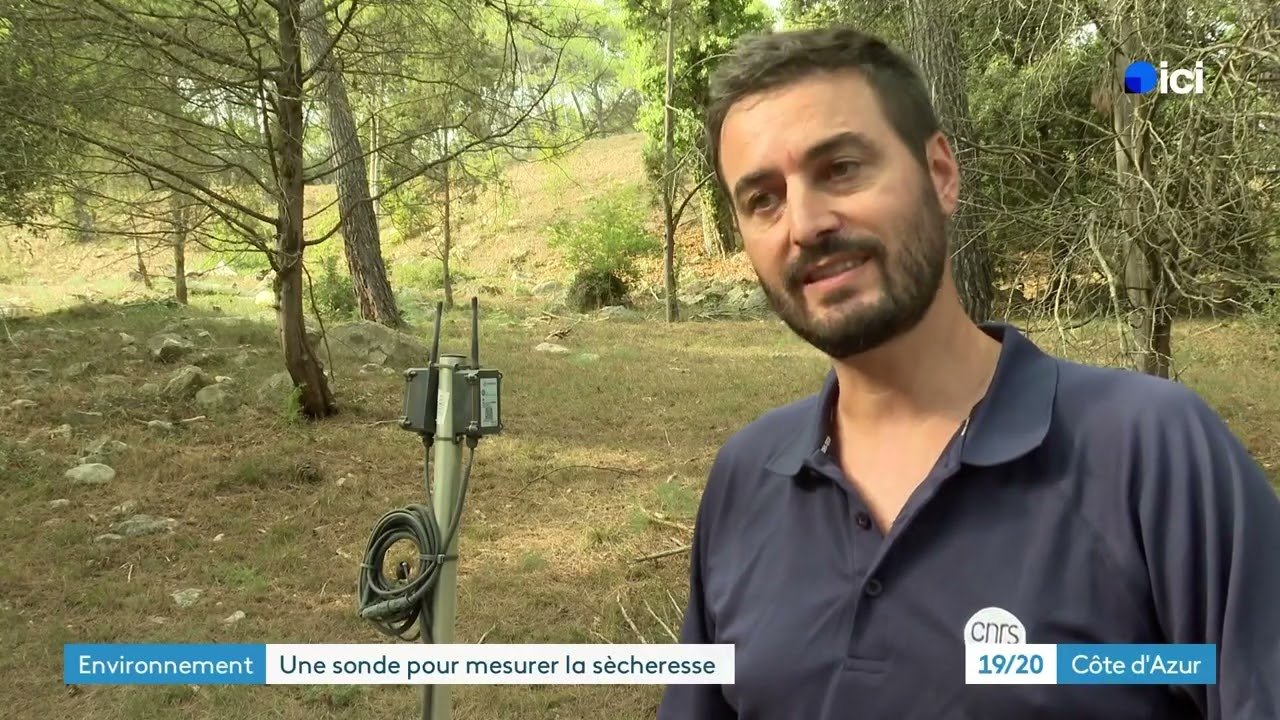 Comment mesurer la sécheresse dans le sol ? Des chercheurs ont inventé une sonde pour y parvenir