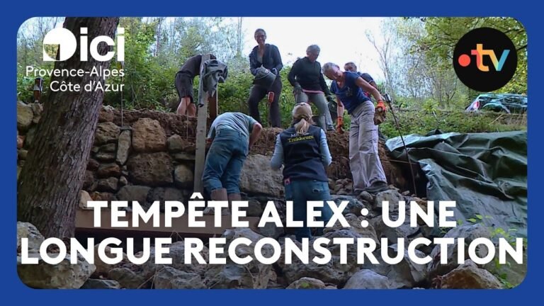 Des bénévoles interviennent sur un nouveau chantier de reconstruction post-tempête Alex