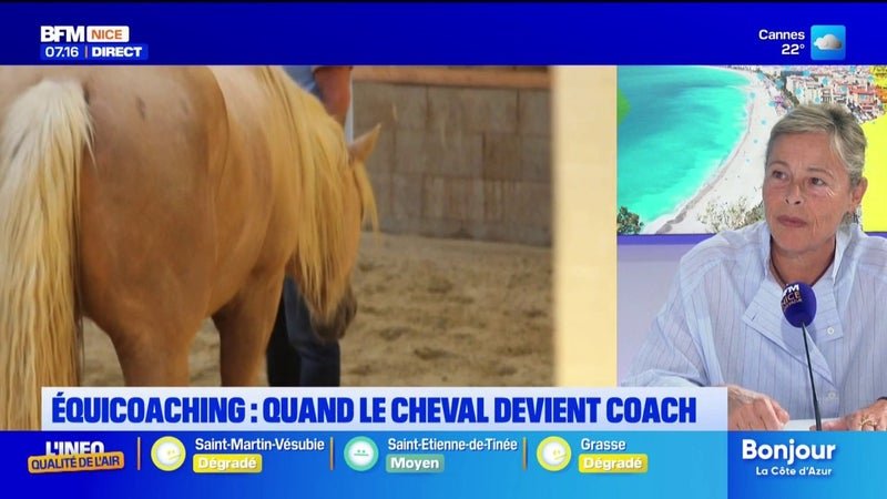 Équi-coaching : quand le cheval agit comme un miroir de nos émotions