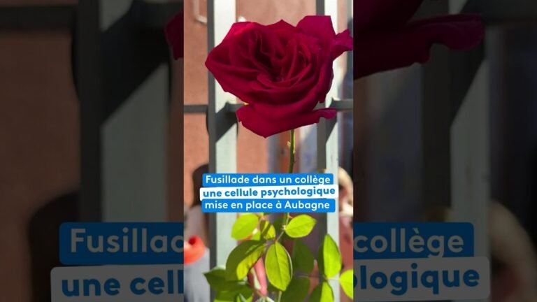 Fusillade dans un collège : mise en place d&rsquo;une cellule psychologique à Aubagne