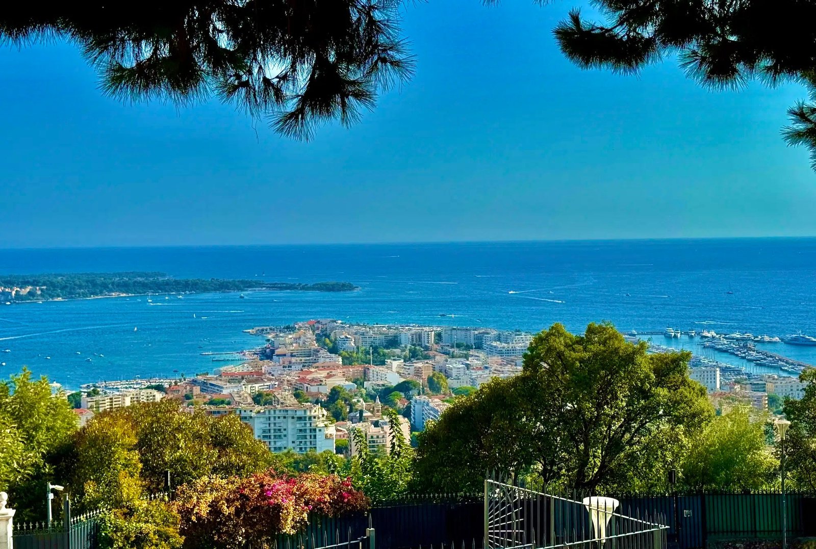 Immobilier à Cannes : ce que recherchent les acquéreurs de villas