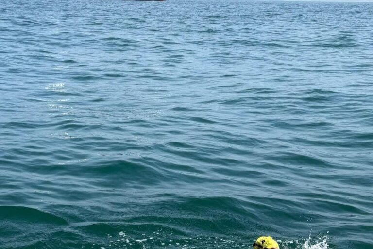 « J’ai eu le nez et la bouche mangés par le sel ! » : à 51 ans, ce nageur cannois a réussi un exploit hors du commun en traversant la Manche sans combinaison