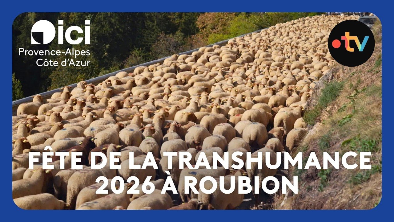 La transhumance de Roubion 2026 rassemble près de 3000 personnes dans ce village des Alpes-Maritimes