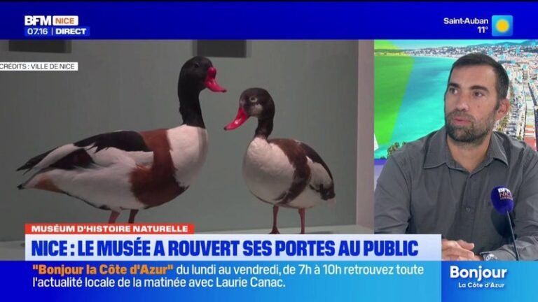 Le plus vieux musée de Nice a rouvert ses portes après 18 mois de travaux
