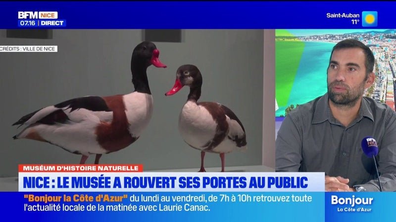 Le plus vieux musée de Nice a rouvert ses portes après 18 mois de travaux