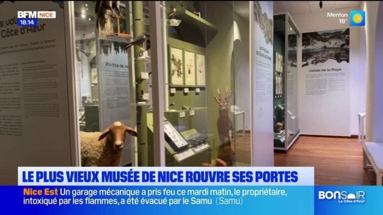 Le plus vieux musée de Nice rouvre ses portes.