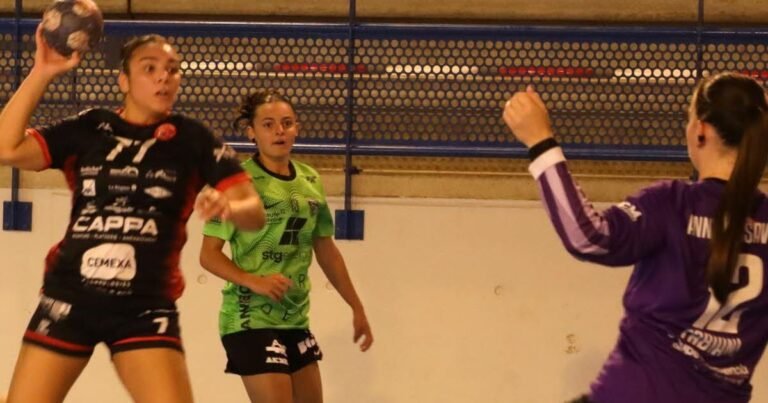 Le Pouzin. Handball : l&rsquo;équipe fanion joue gros ce samedi face à Cannes-Mandelieu