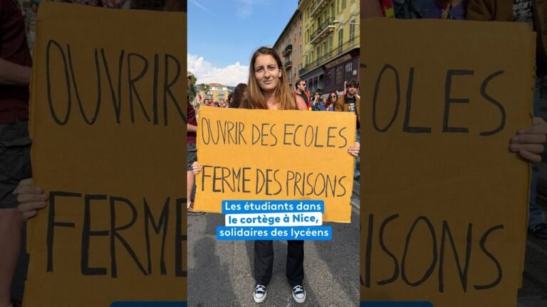 Les étudiants dans le cortège de la manifestation à Nie, solidaires des lycéens